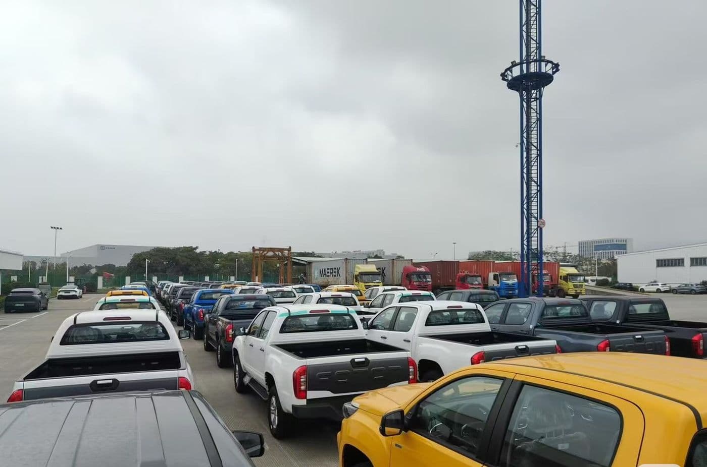 Export vehicles lined up at a port yard